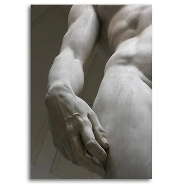 Michelangelo sculpture sections represented beautifully in print ShhhOb Female Sex Toys